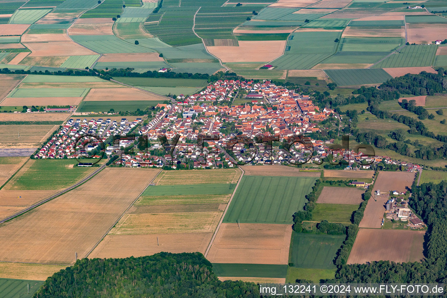 Photographie aérienne de Steinweiler dans le département Rhénanie-Palatinat, Allemagne