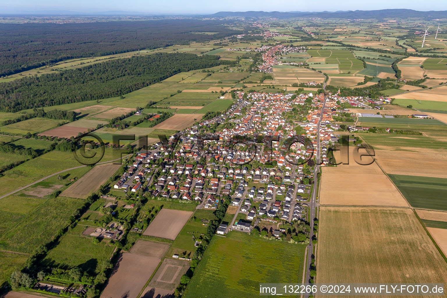 Vue d'oiseau de Minfeld dans le département Rhénanie-Palatinat, Allemagne