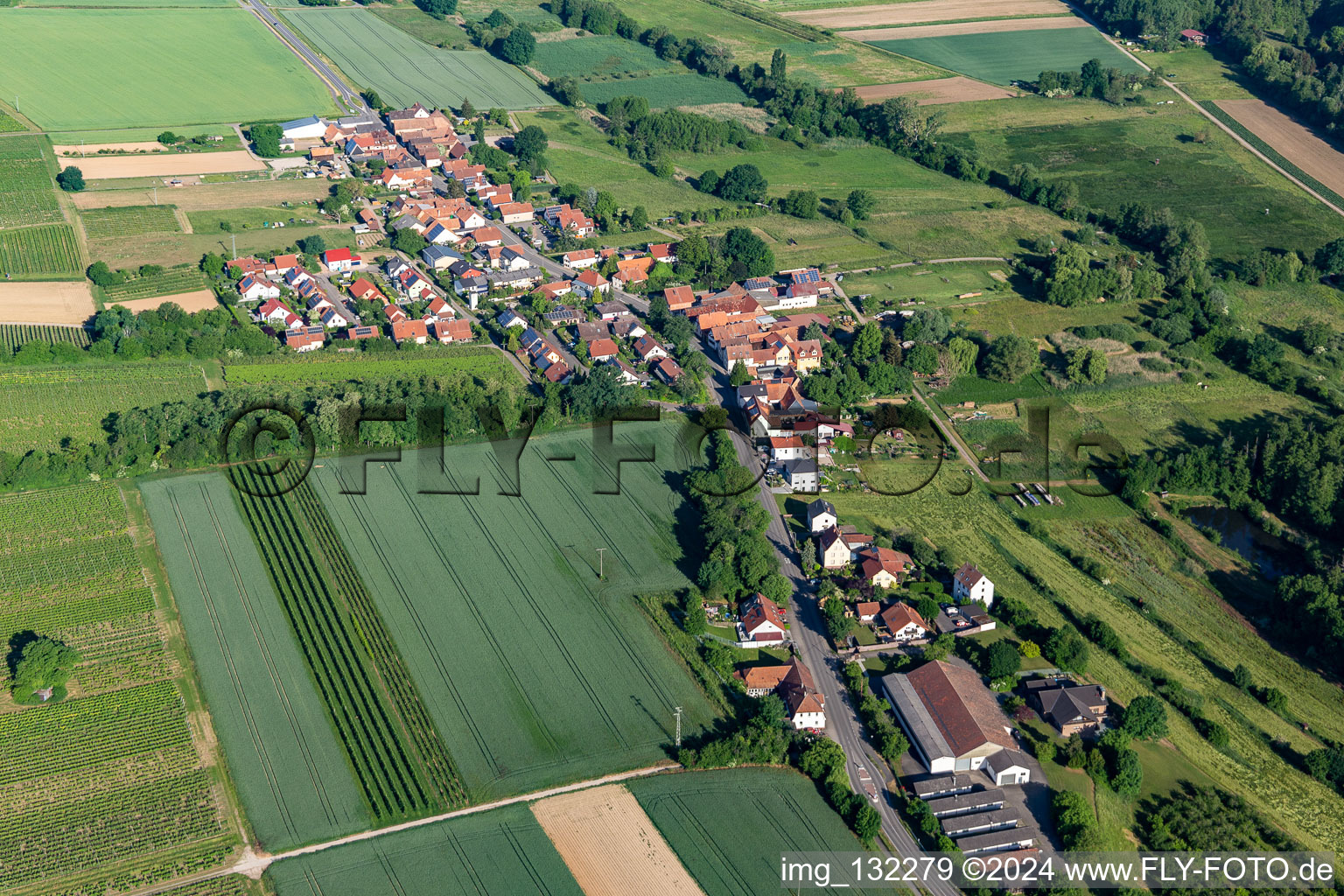 Vue d'oiseau de Hergersweiler dans le département Rhénanie-Palatinat, Allemagne