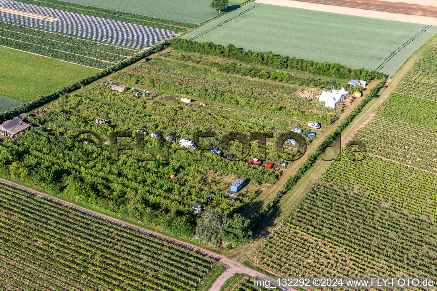 Verger à le quartier Mühlhofen in Billigheim-Ingenheim dans le département Rhénanie-Palatinat, Allemagne d'en haut