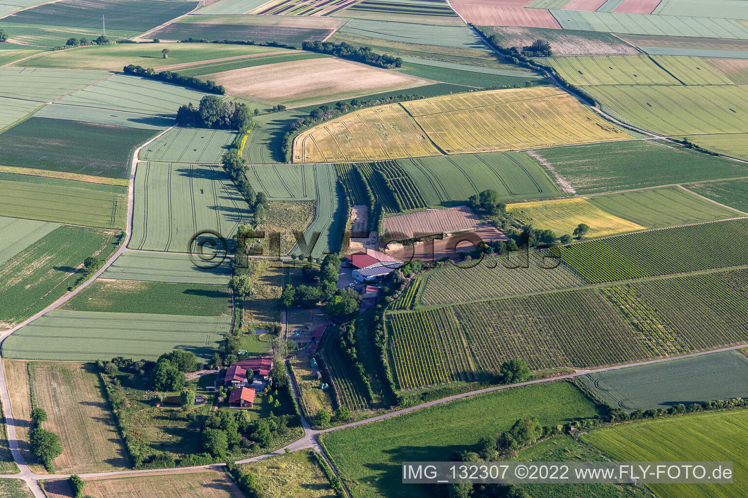 Vue aérienne de Obsthof Zirker KG à le quartier Herxheim in Herxheim bei Landau dans le département Rhénanie-Palatinat, Allemagne