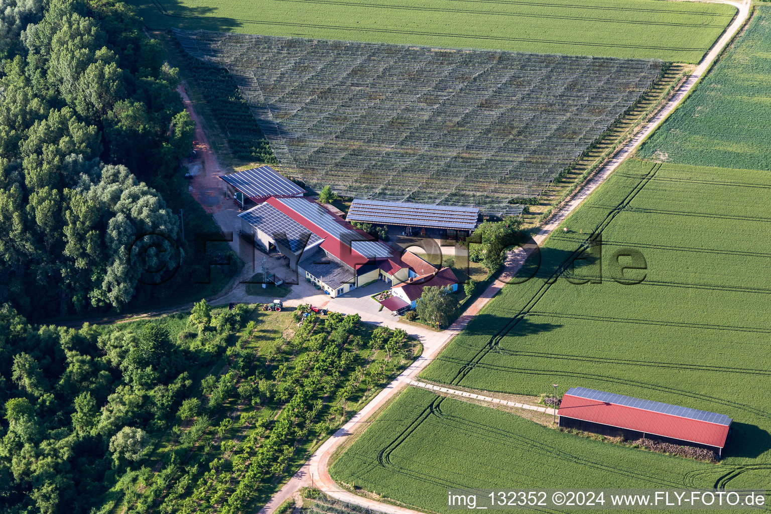 Vue aérienne de Boutique de la ferme Leo Zirker à Rheinzabern dans le département Rhénanie-Palatinat, Allemagne