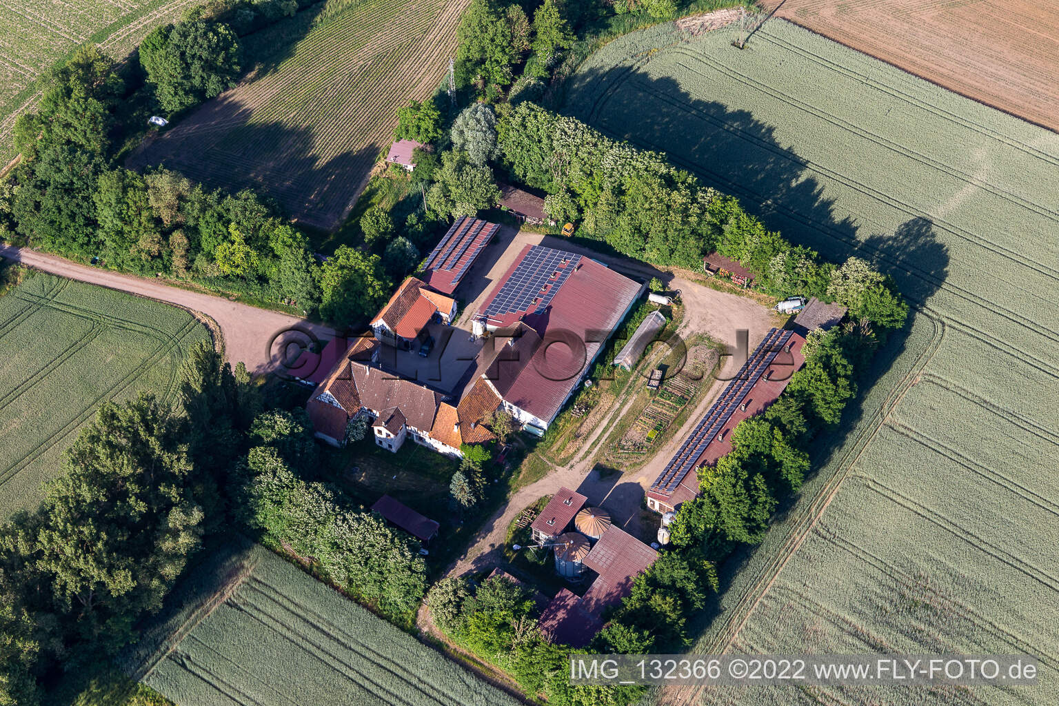 Erlenbach bei Kandel dans le département Rhénanie-Palatinat, Allemagne d'en haut