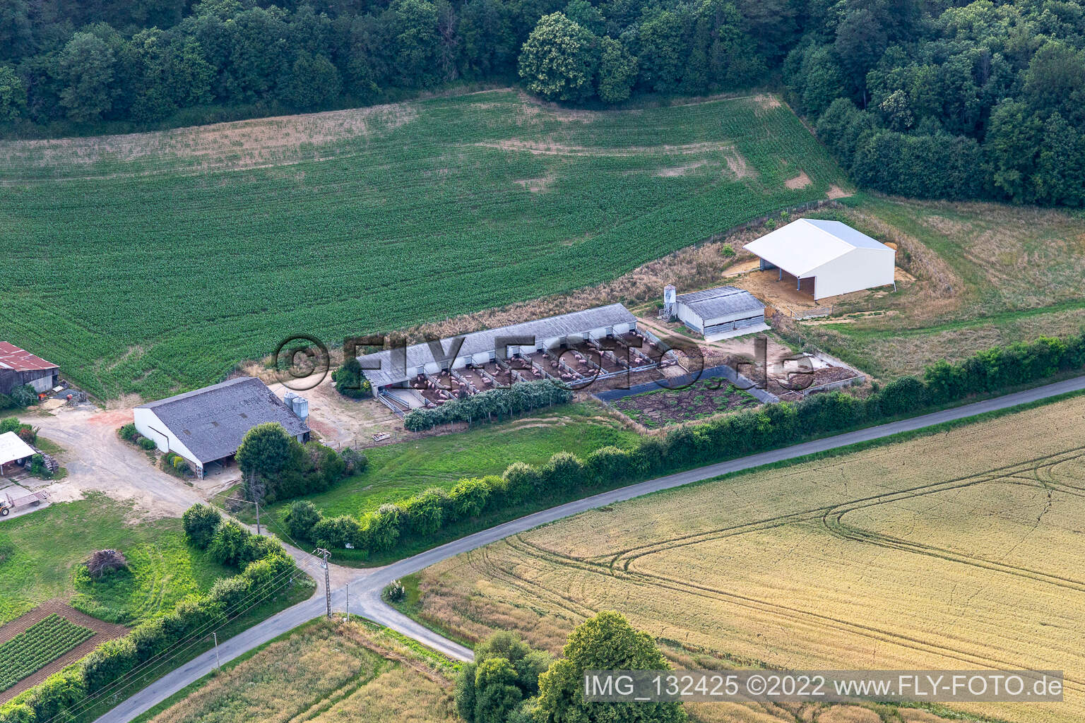Vue aérienne de Élevage de porcs Cournon en liberté à Saint-Michel-de-Chavaignes dans le département Sarthe, France