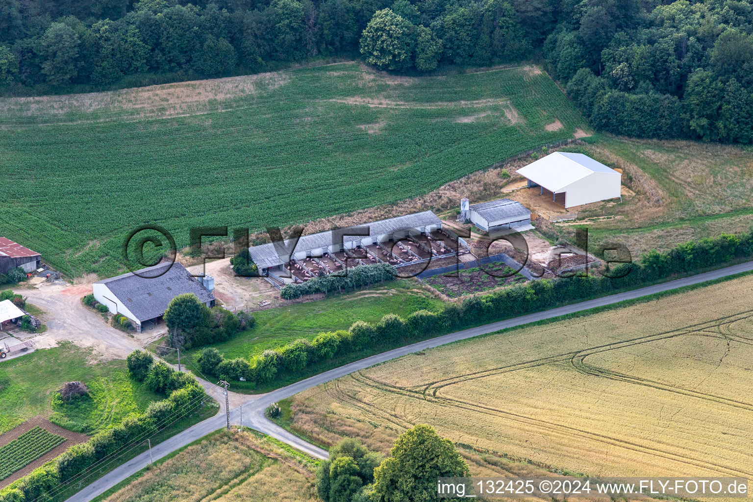 Vue aérienne de Élevage de porcs Cournon en liberté à Saint-Michel-de-Chavaignes dans le département Sarthe, France