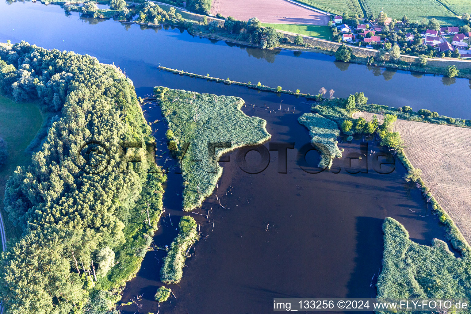 Vue aérienne de Vieux Danube sur le Gmünder Au à le quartier Gmünd in Pfatter dans le département Bavière, Allemagne