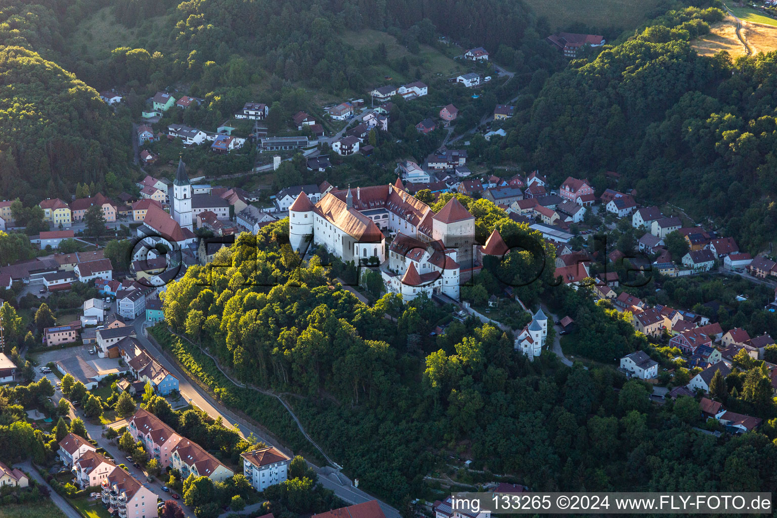 Vue aérienne de Seniors professionnels au château de Wörth à le quartier Hungersdorf in Wörth an der Donau dans le département Bavière, Allemagne