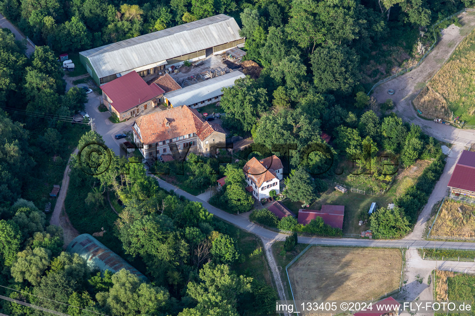 Vue aérienne de Pension pour chevaux Wanzheimer Mühle à Rheinzabern dans le département Rhénanie-Palatinat, Allemagne