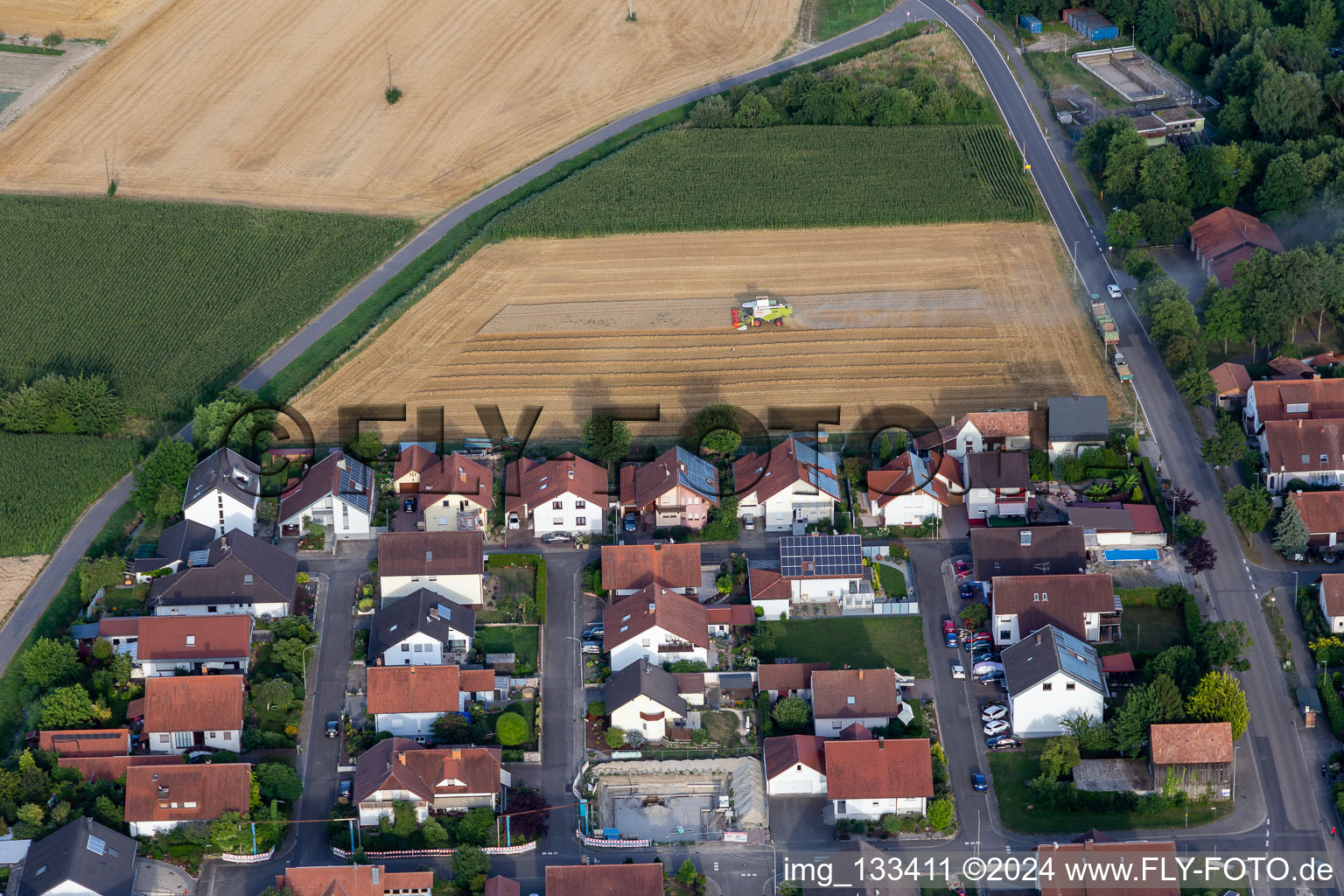 Vue aérienne de Allée de jardin à Neupotz dans le département Rhénanie-Palatinat, Allemagne