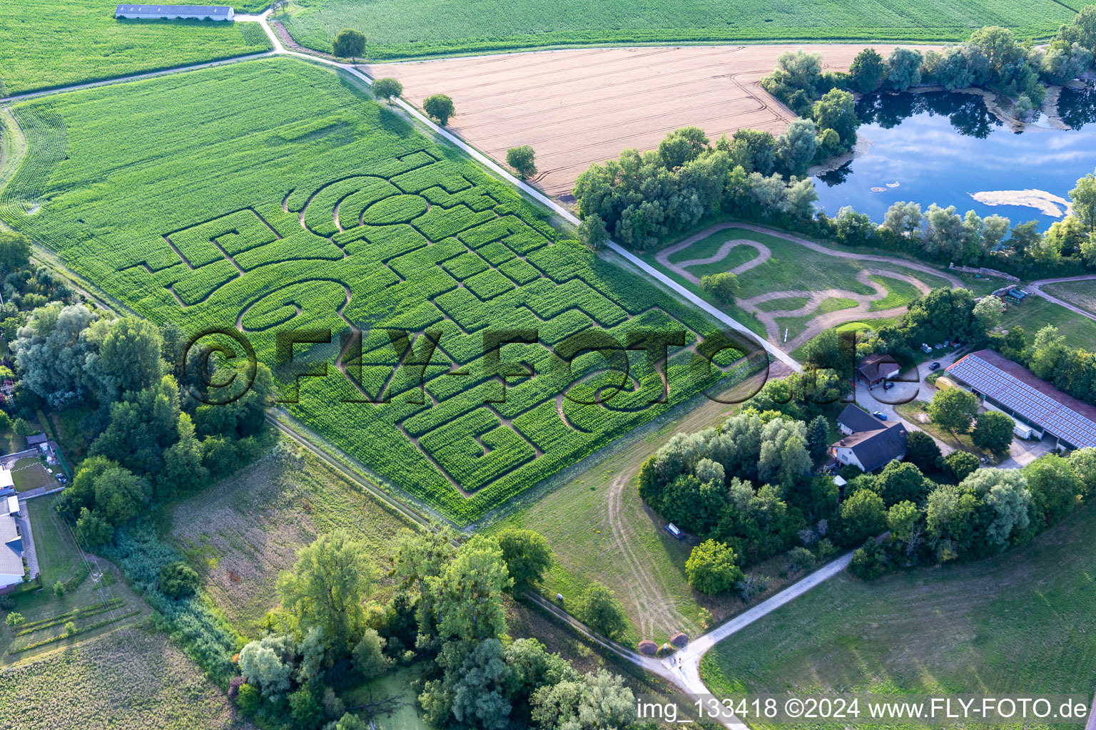 Vue aérienne de Labyrinthe de maïs à Leimersheim dans le département Rhénanie-Palatinat, Allemagne