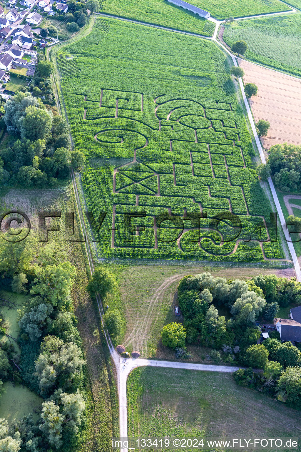 Photographie aérienne de Labyrinthe de maïs à Leimersheim dans le département Rhénanie-Palatinat, Allemagne