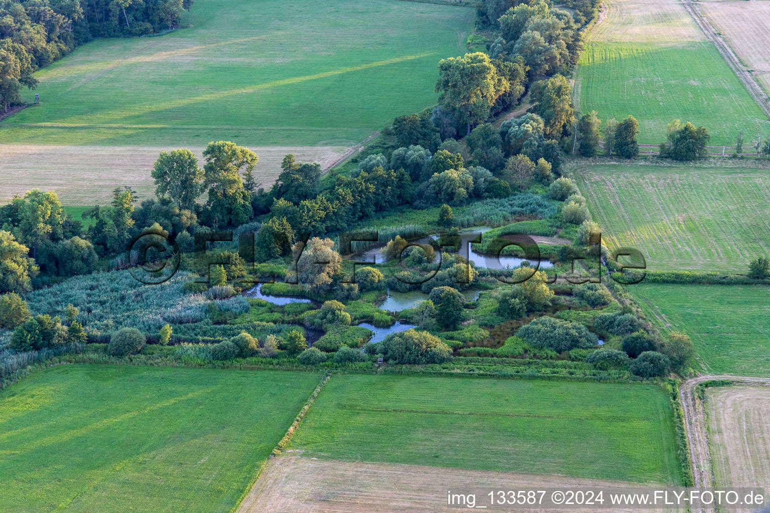 Vue aérienne de Biotope sur le Queich à Hochstadt dans le département Rhénanie-Palatinat, Allemagne