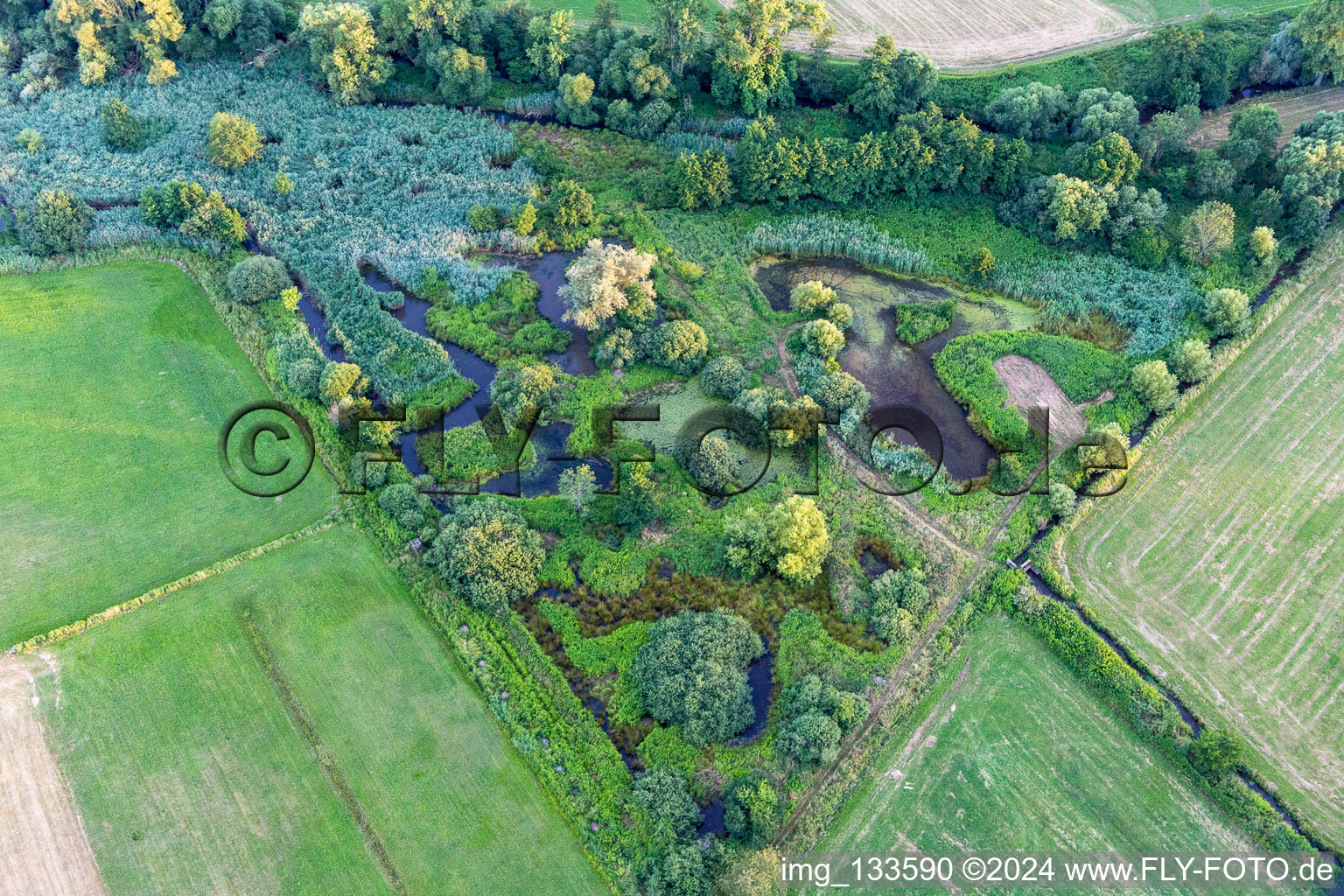 Vue aérienne de Biotope sur le Queich à le quartier Niederhochstadt in Hochstadt dans le département Rhénanie-Palatinat, Allemagne