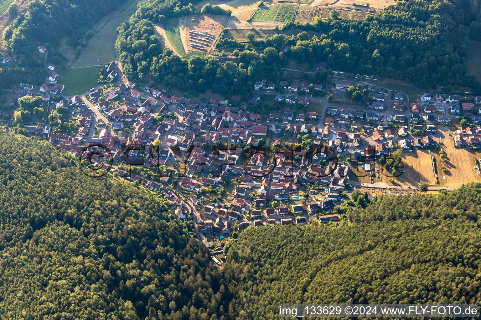 Vorderweidenthal dans le département Rhénanie-Palatinat, Allemagne vu d'un drone