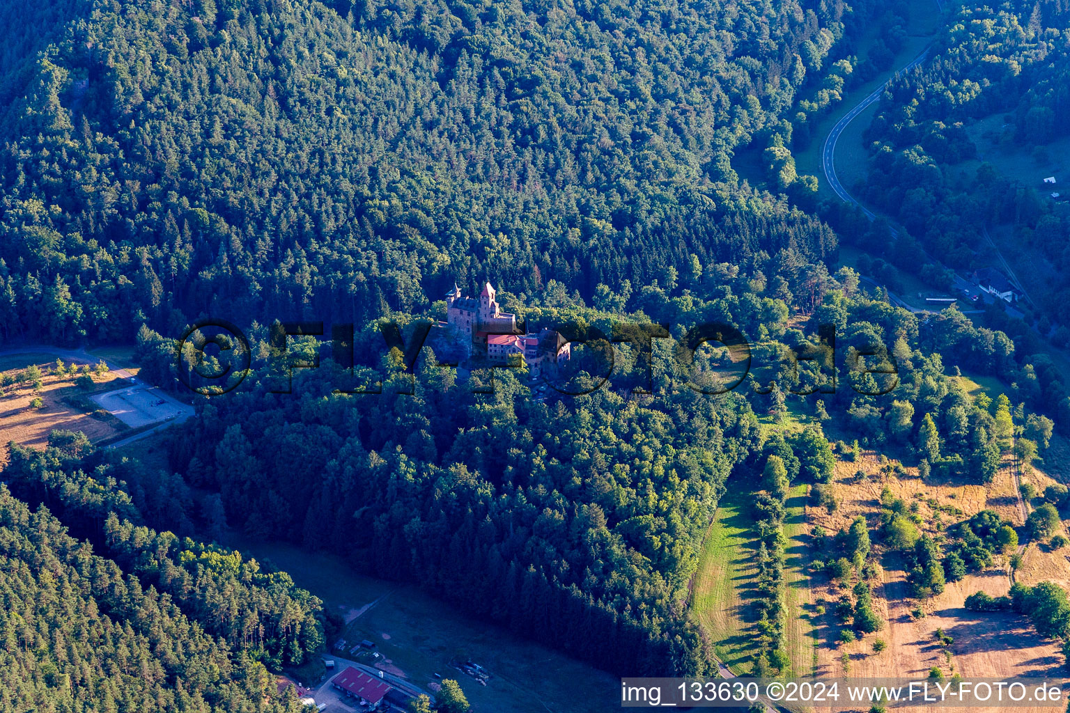 Château de Berwartstein à Erlenbach bei Dahn dans le département Rhénanie-Palatinat, Allemagne hors des airs