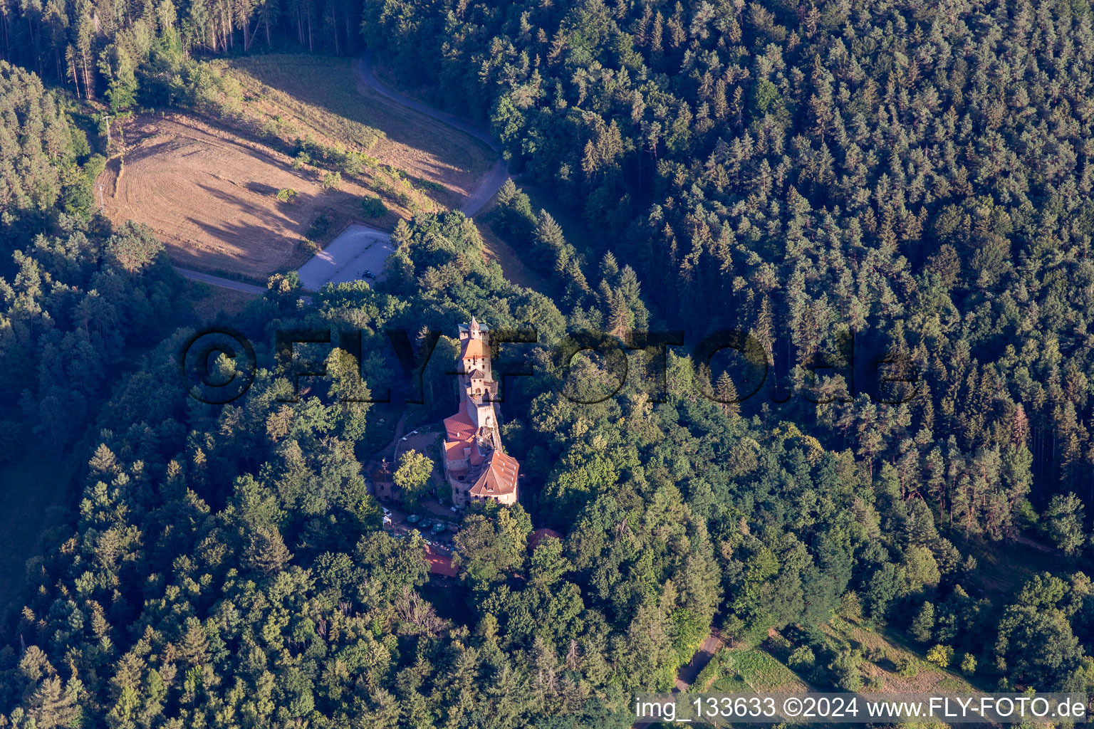 Vue d'oiseau de Château de Berwartstein à Erlenbach bei Dahn dans le département Rhénanie-Palatinat, Allemagne