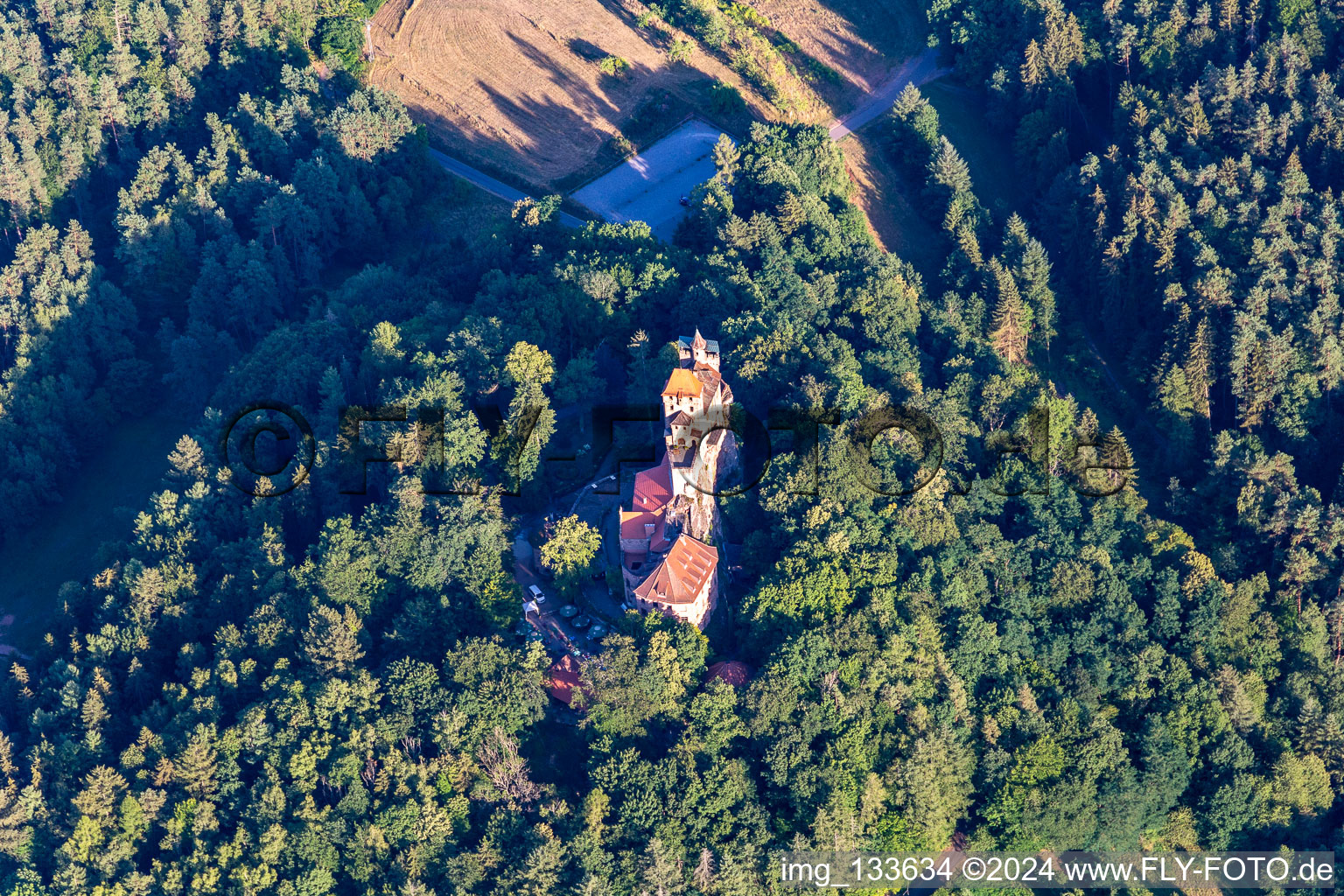 Château de Berwartstein à Erlenbach bei Dahn dans le département Rhénanie-Palatinat, Allemagne vue du ciel