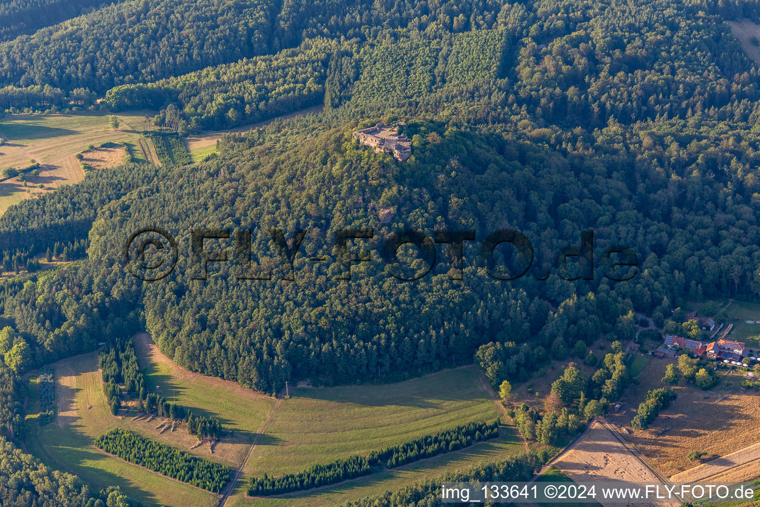 Ruines du château de Lindelbrunn à Vorderweidenthal dans le département Rhénanie-Palatinat, Allemagne d'en haut