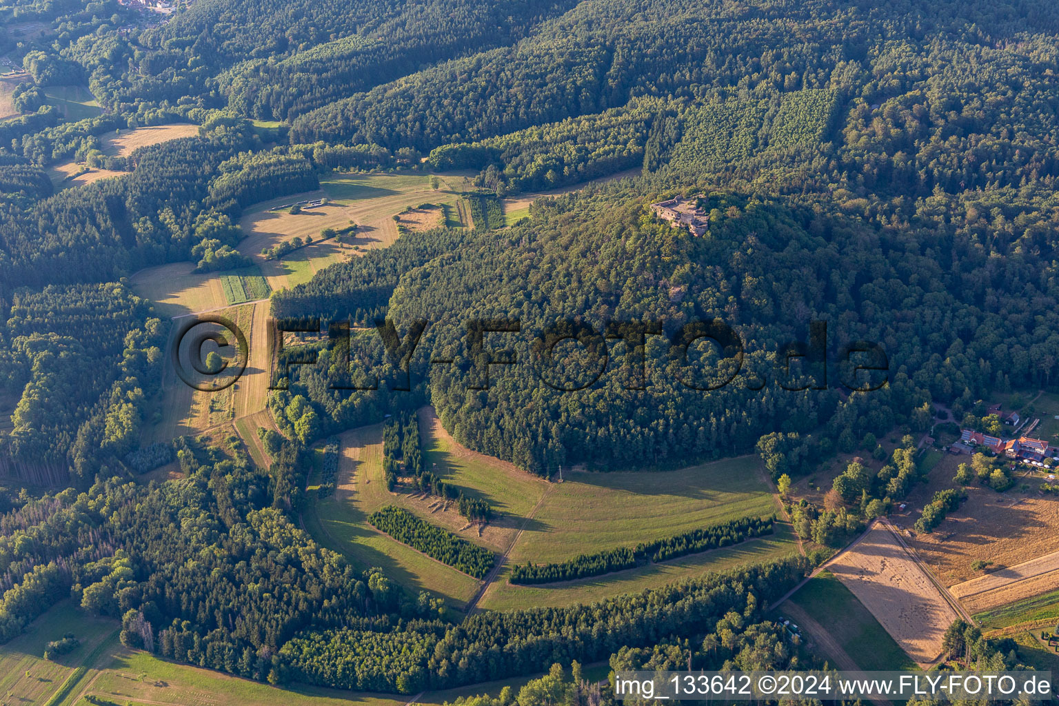 Ruines du château de Lindelbrunn à Vorderweidenthal dans le département Rhénanie-Palatinat, Allemagne hors des airs