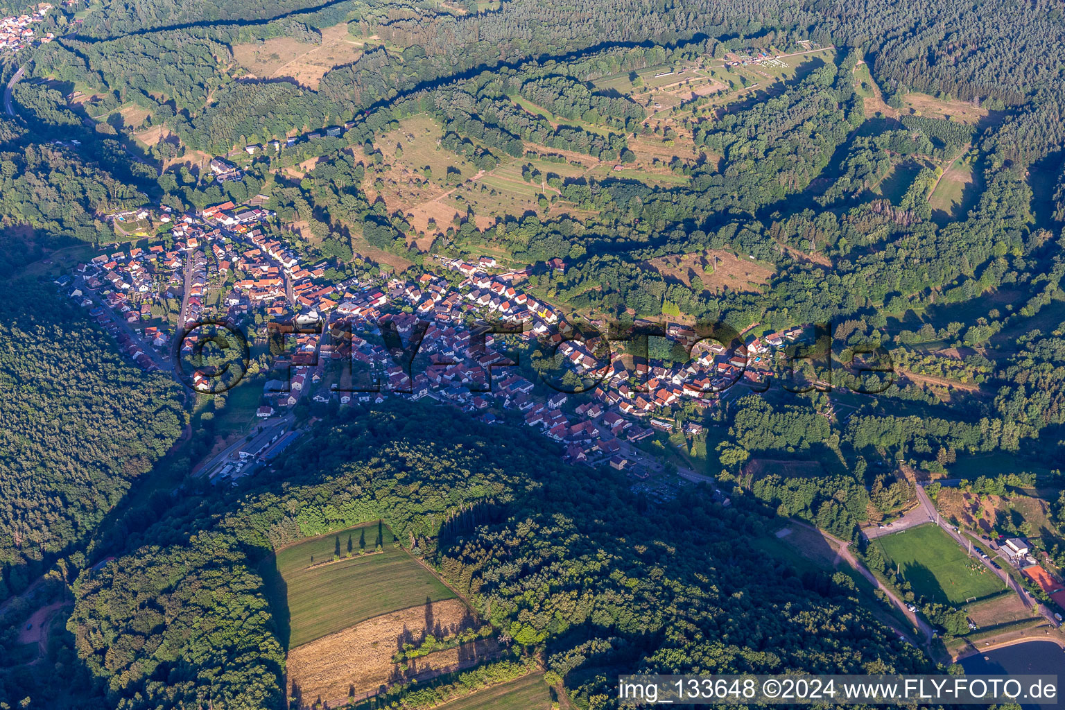 Silz dans le département Rhénanie-Palatinat, Allemagne vue du ciel