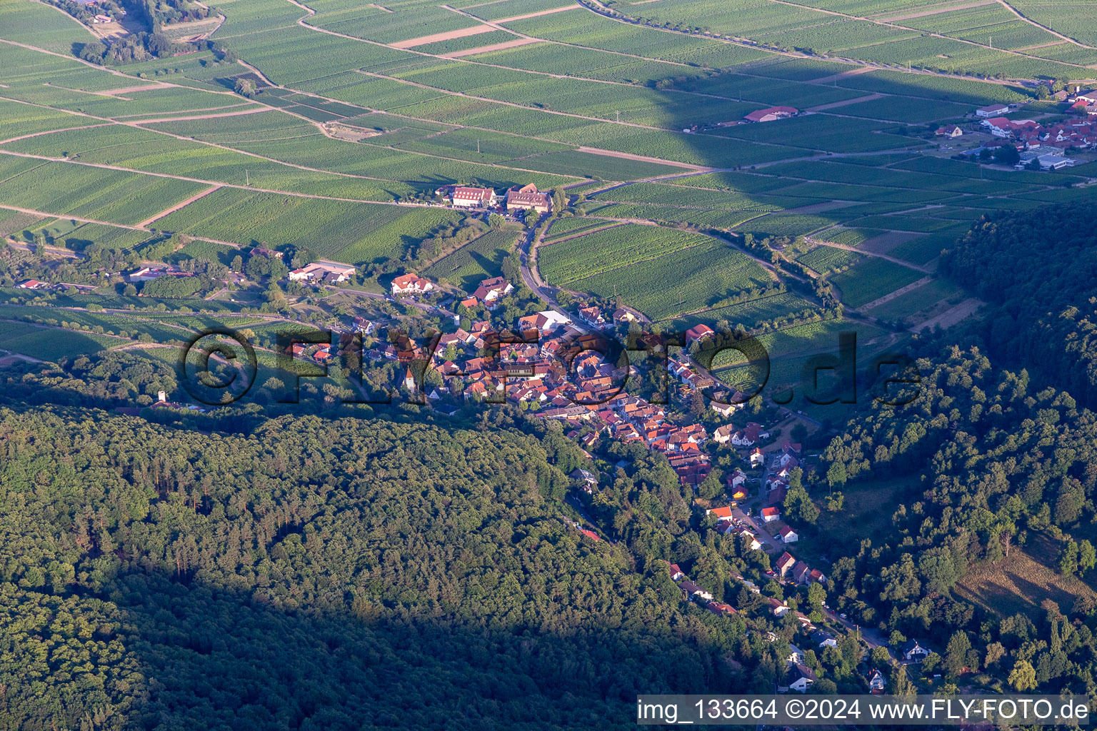 Leinsweiler dans le département Rhénanie-Palatinat, Allemagne vue du ciel