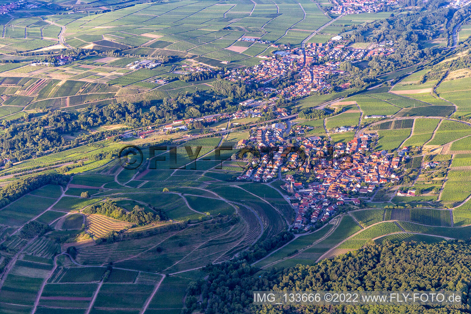 Photographie aérienne de Châtaignier à Birkweiler dans le département Rhénanie-Palatinat, Allemagne