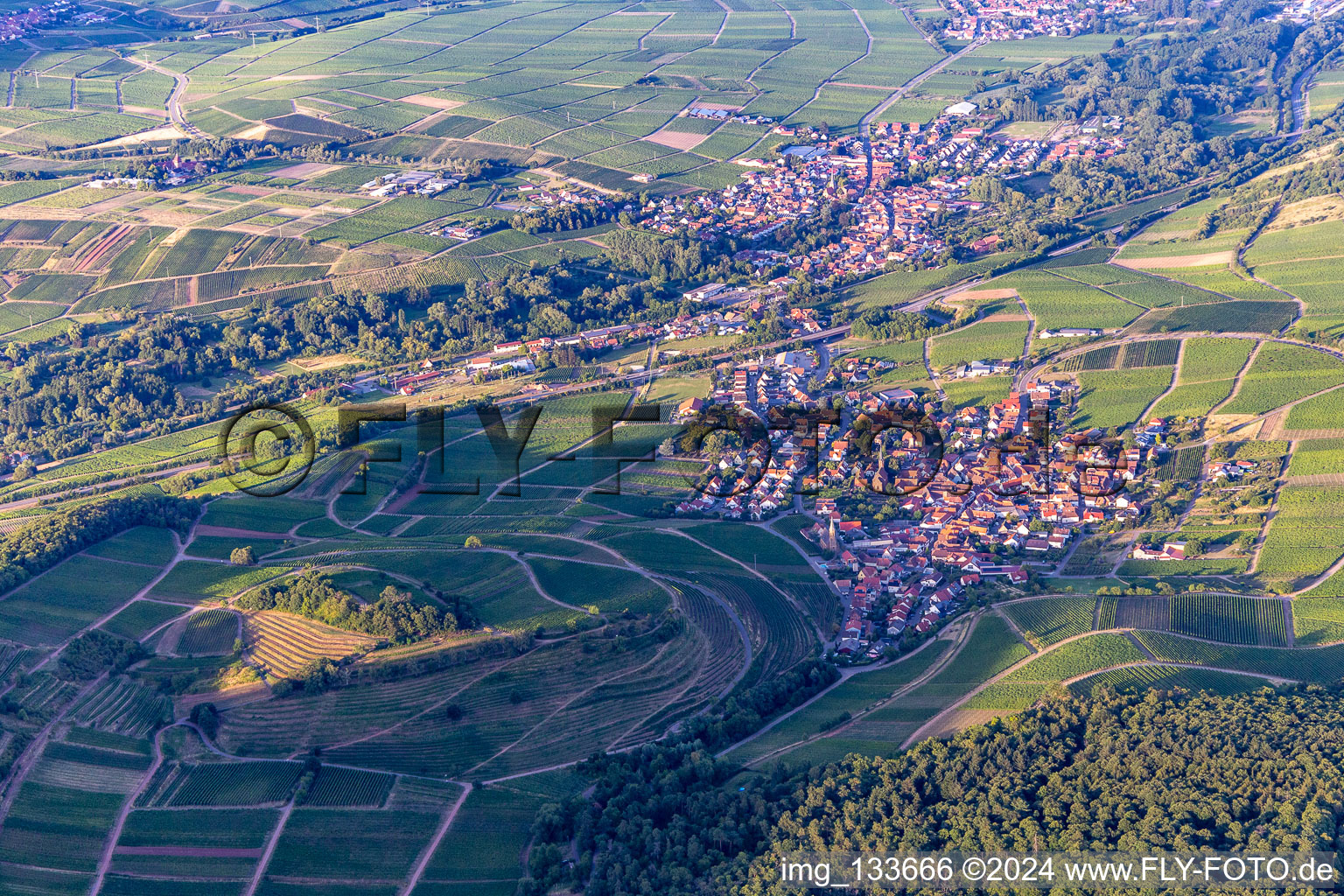 Photographie aérienne de Châtaignier à Birkweiler dans le département Rhénanie-Palatinat, Allemagne