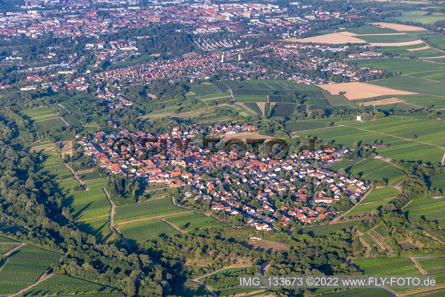 Vue aérienne de Quartier Arzheim in Landau in der Pfalz dans le département Rhénanie-Palatinat, Allemagne