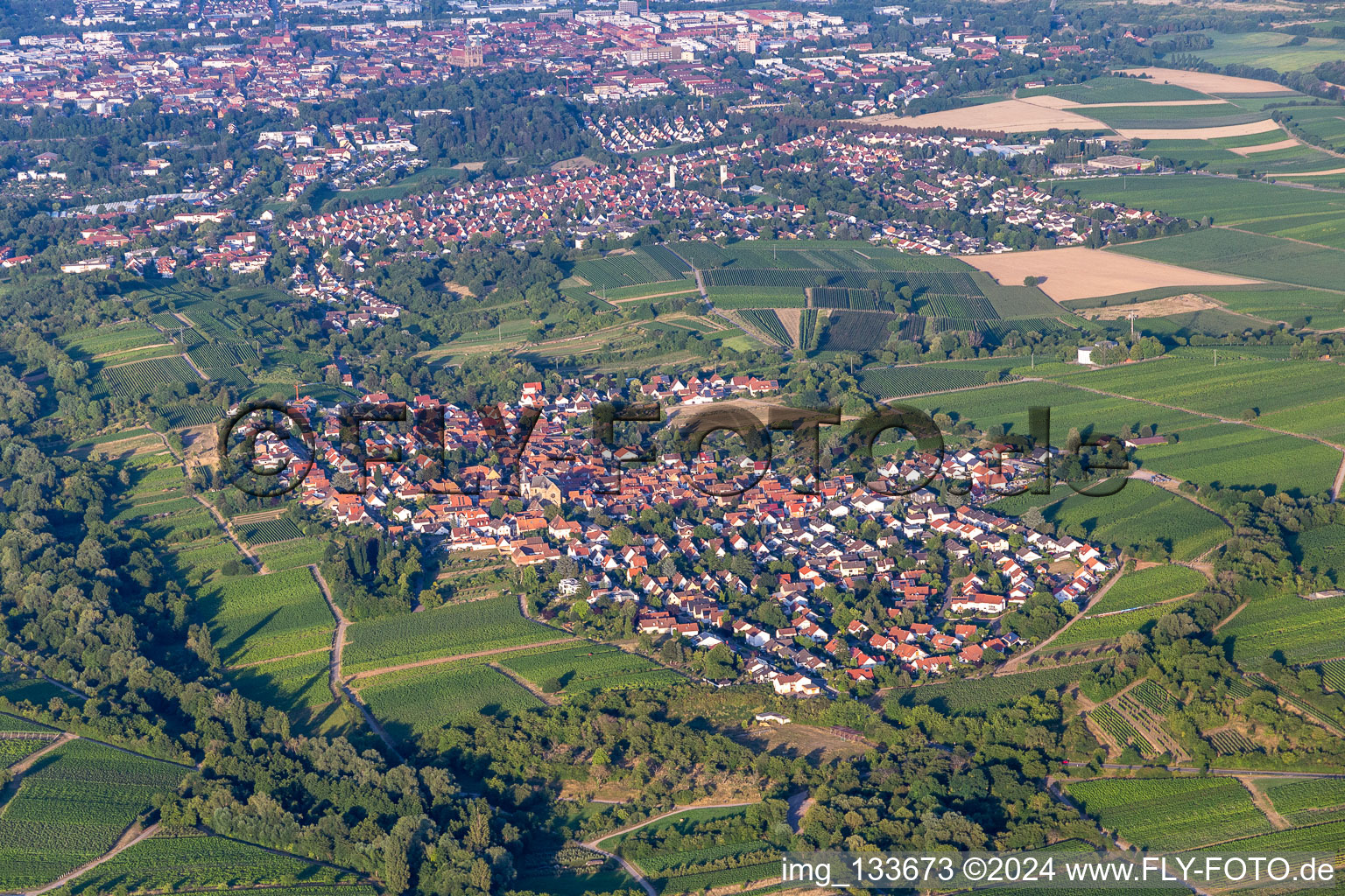 Vue aérienne de Quartier Arzheim in Landau in der Pfalz dans le département Rhénanie-Palatinat, Allemagne