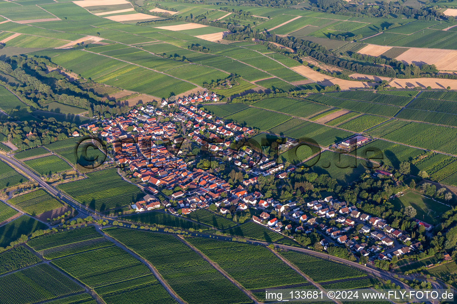 Vue aérienne de Quartier Wollmesheim in Landau in der Pfalz dans le département Rhénanie-Palatinat, Allemagne