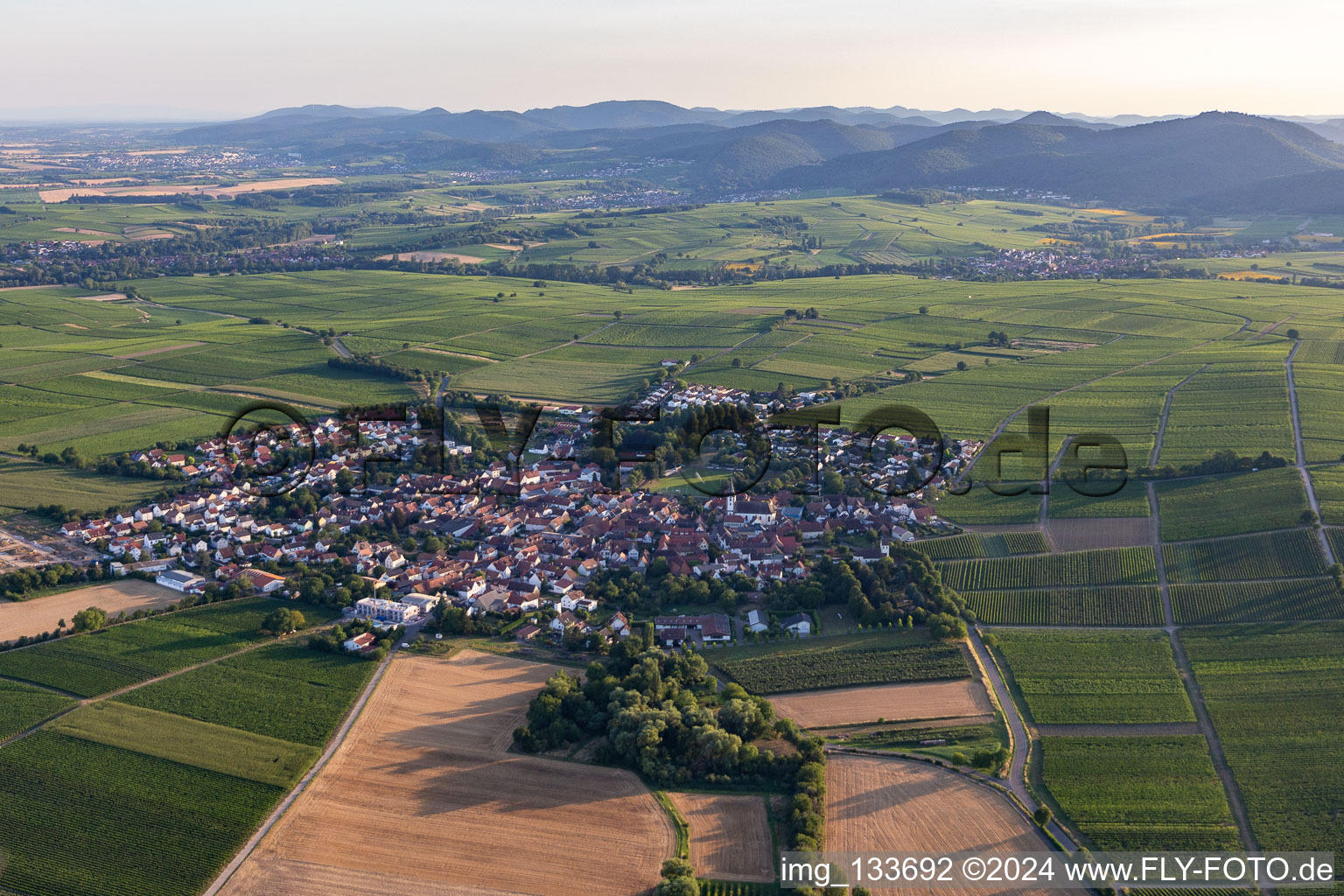 Vue d'oiseau de Quartier Mörzheim in Landau in der Pfalz dans le département Rhénanie-Palatinat, Allemagne