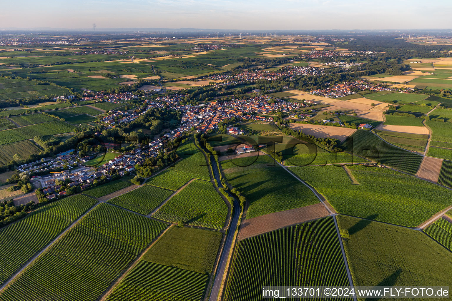 Quartier Ingenheim in Billigheim-Ingenheim dans le département Rhénanie-Palatinat, Allemagne vue d'en haut