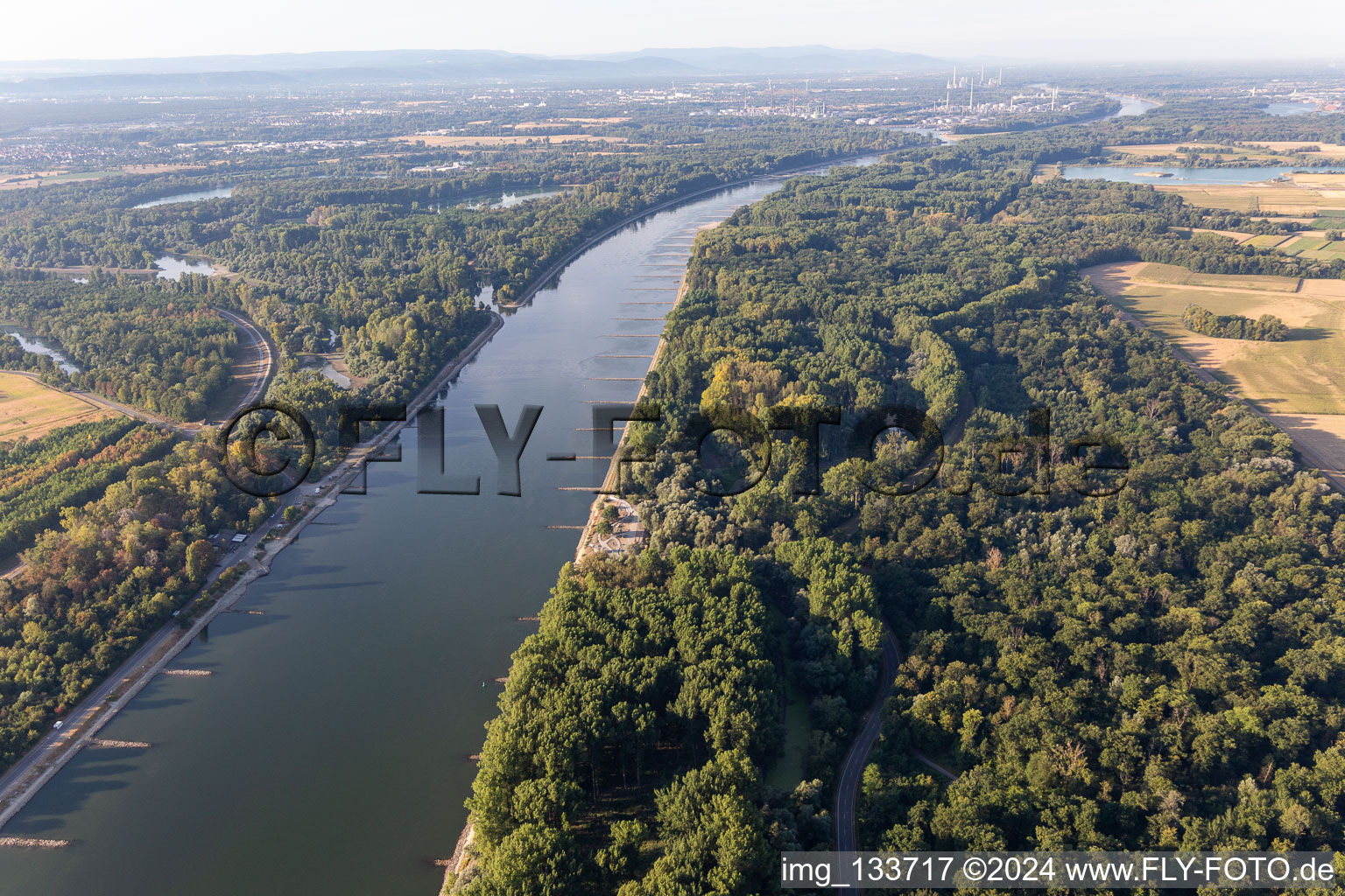 Vue aérienne de Épis secs dans le Rhin à marée basse à Leimersheim dans le département Rhénanie-Palatinat, Allemagne