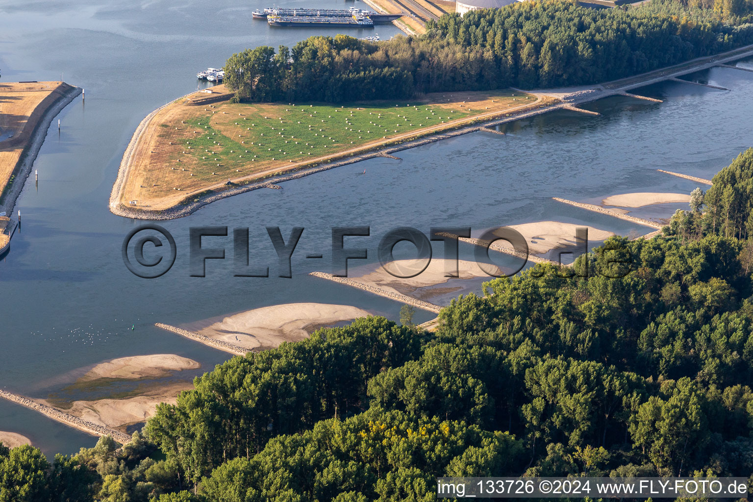 Photographie aérienne de Épis et bancs de sable asséchés dans le Rhin en raison des basses eaux à Neupotz dans le département Rhénanie-Palatinat, Allemagne