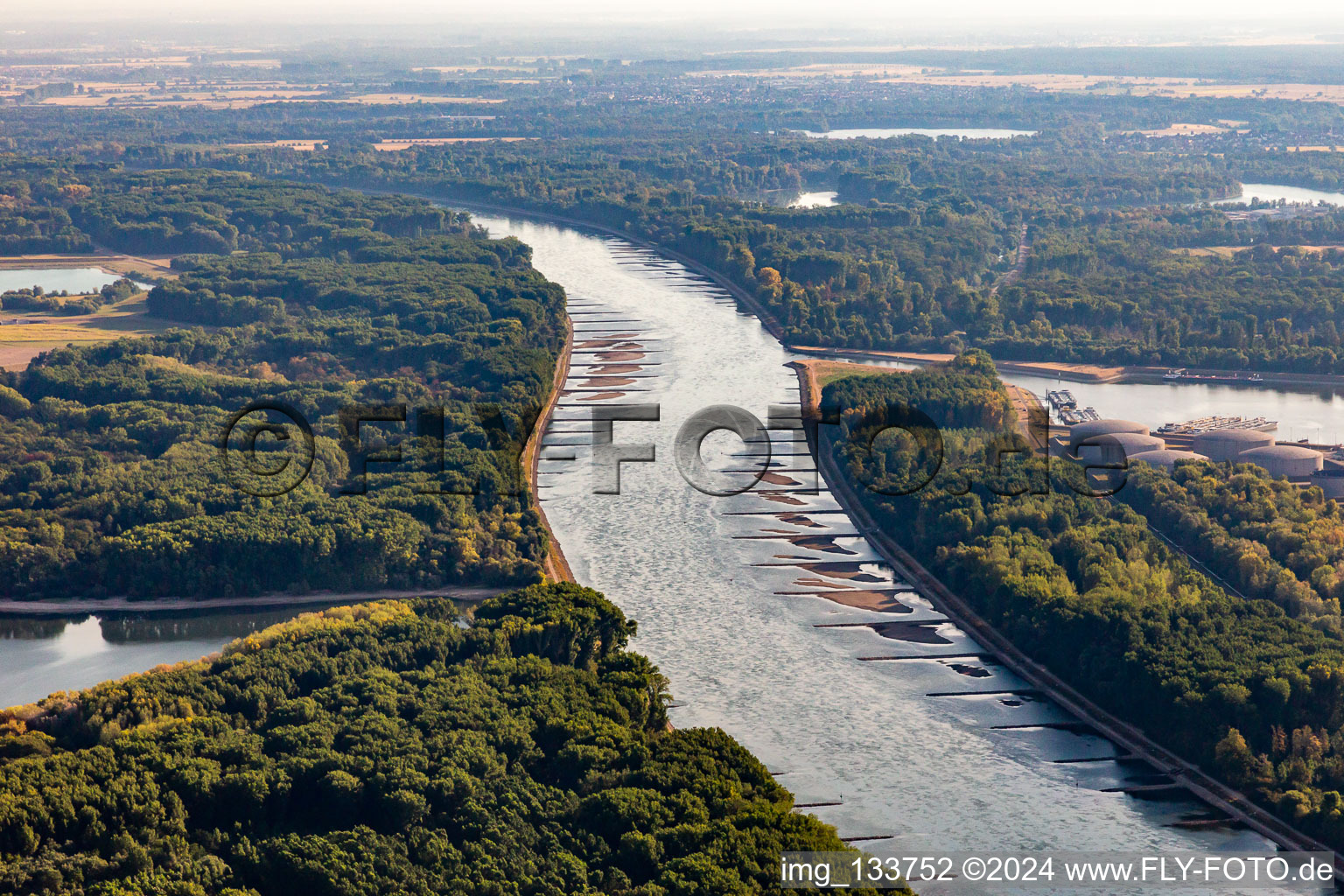 Vue aérienne de Épis et bancs de sable asséchés dans le Rhin en raison des basses eaux à le quartier Knielingen in Karlsruhe dans le département Bade-Wurtemberg, Allemagne