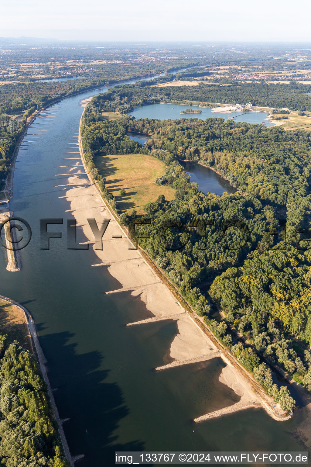 Photographie aérienne de Épis et bancs de sable asséchés dans le Rhin en raison des basses eaux à le quartier Maximiliansau in Wörth am Rhein dans le département Rhénanie-Palatinat, Allemagne