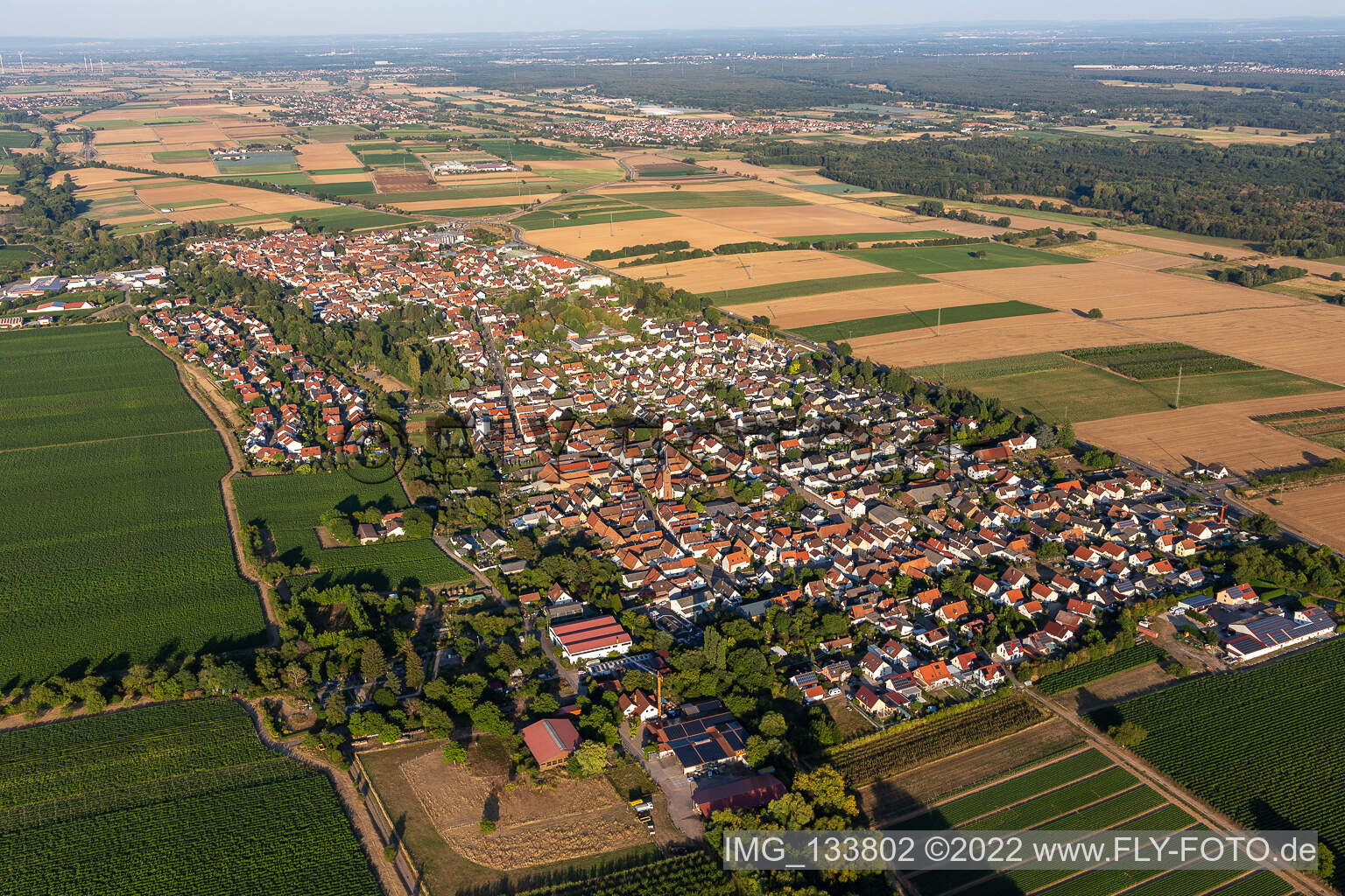Vue aérienne de Niederhochstadt à Hochstadt dans le département Rhénanie-Palatinat, Allemagne