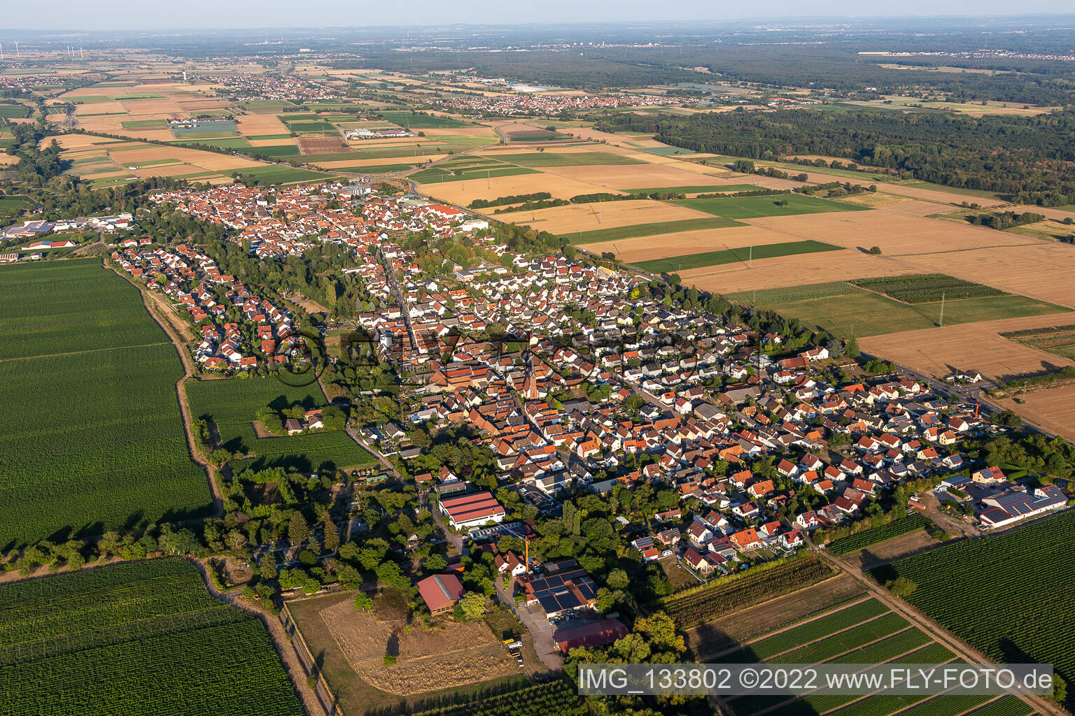 Quartier Niederhochstadt in Hochstadt dans le département Rhénanie-Palatinat, Allemagne vu d'un drone