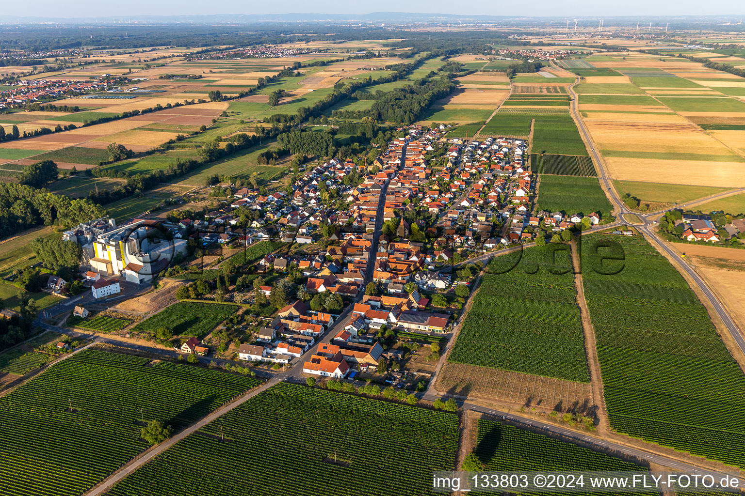 Vue aérienne de Moulin à grains de Cornexo GmbH à Freimersheim dans le département Rhénanie-Palatinat, Allemagne