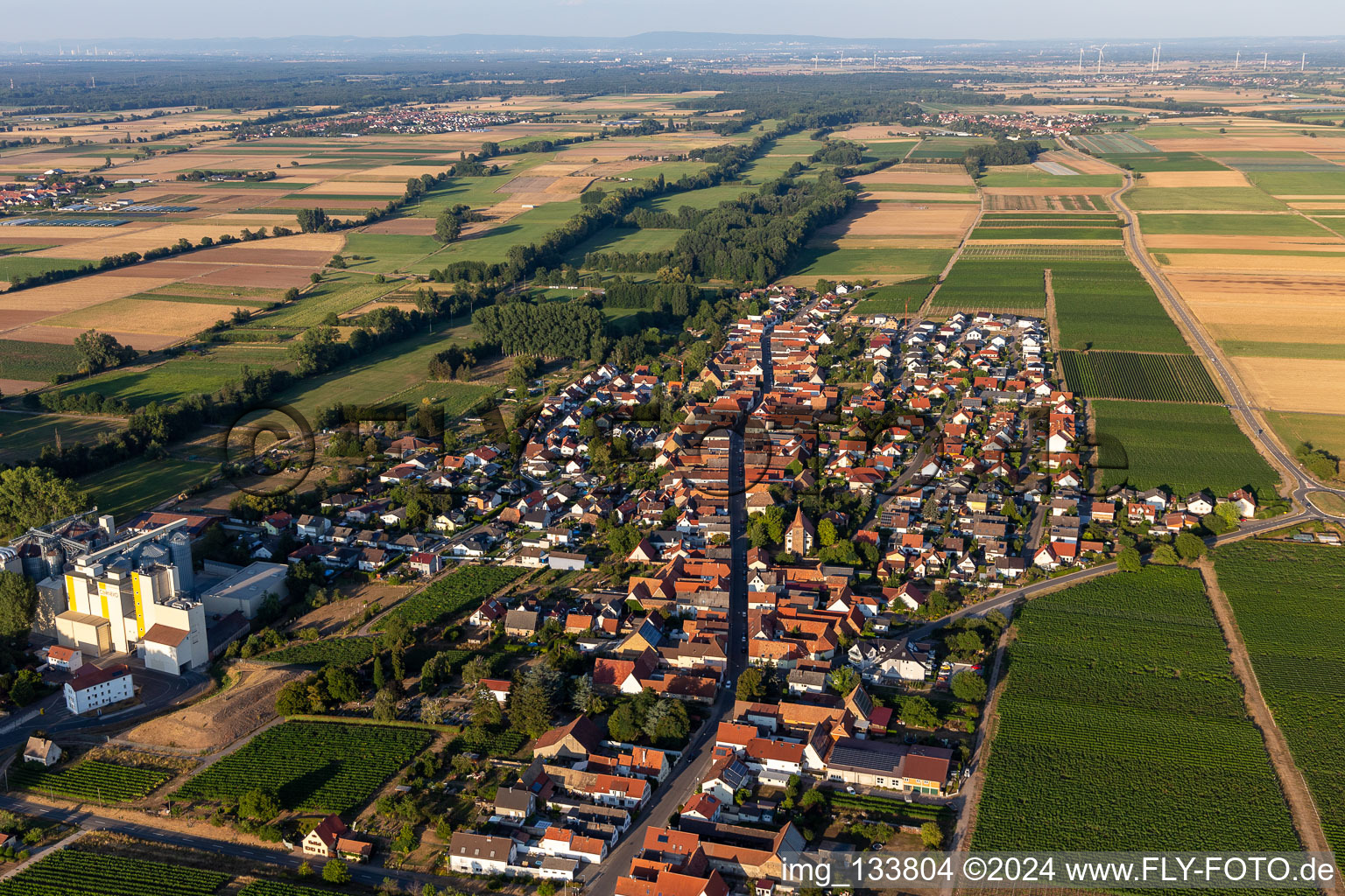 Vue aérienne de Moulin à grains de Cornexo GmbH à Freimersheim dans le département Rhénanie-Palatinat, Allemagne