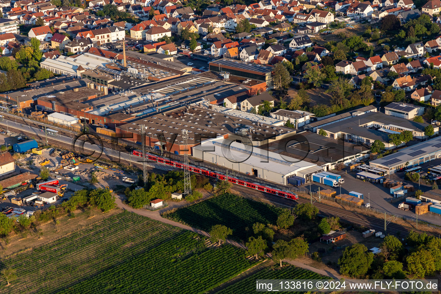 Vue aérienne de Gemeindewerke Haßloch GmbH sur la voie ferrée à Haßloch dans le département Rhénanie-Palatinat, Allemagne