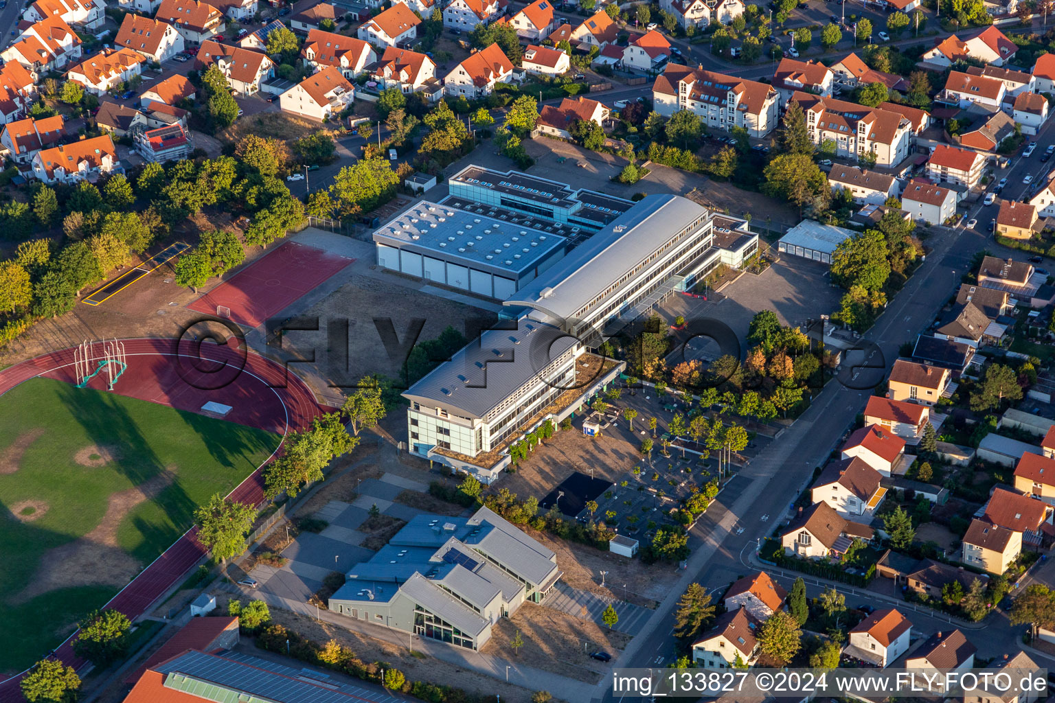 Vue aérienne de Siebenpfeiffer-Realschule plus et Fachoberschule Haßloch à Haßloch dans le département Rhénanie-Palatinat, Allemagne