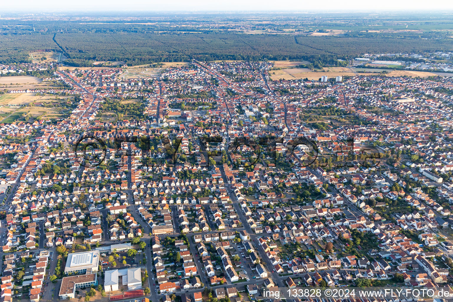 Haßloch dans le département Rhénanie-Palatinat, Allemagne d'en haut