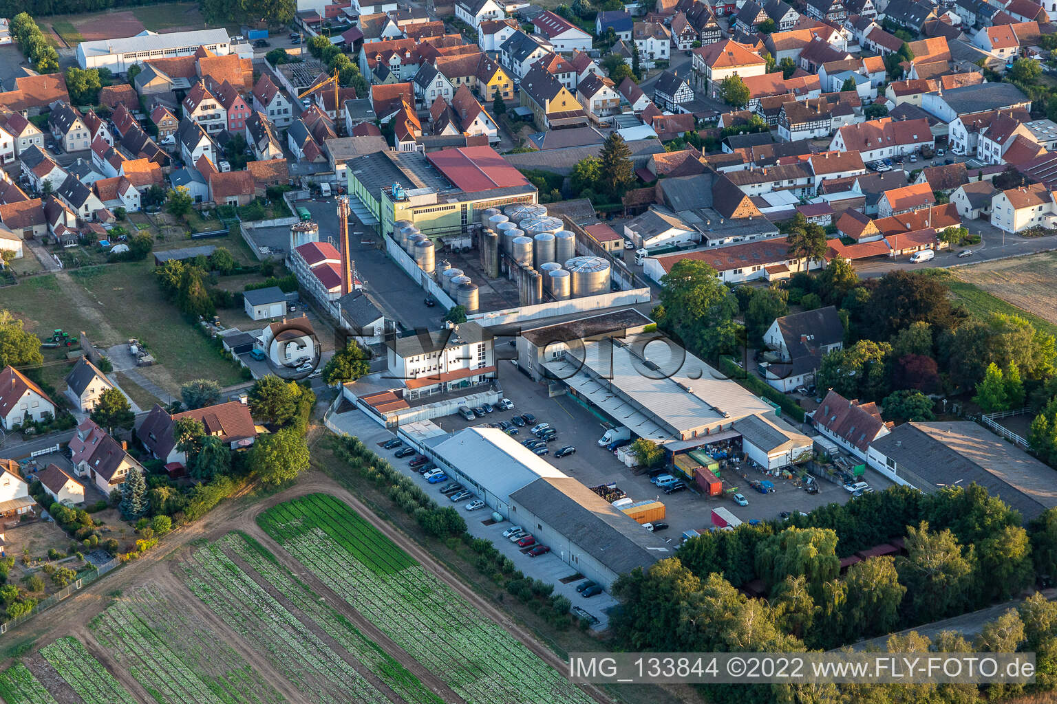 Vue aérienne de Atelier automobile Günters Garage, Löwen-Brennerei GmbH à Lustadt dans le département Rhénanie-Palatinat, Allemagne