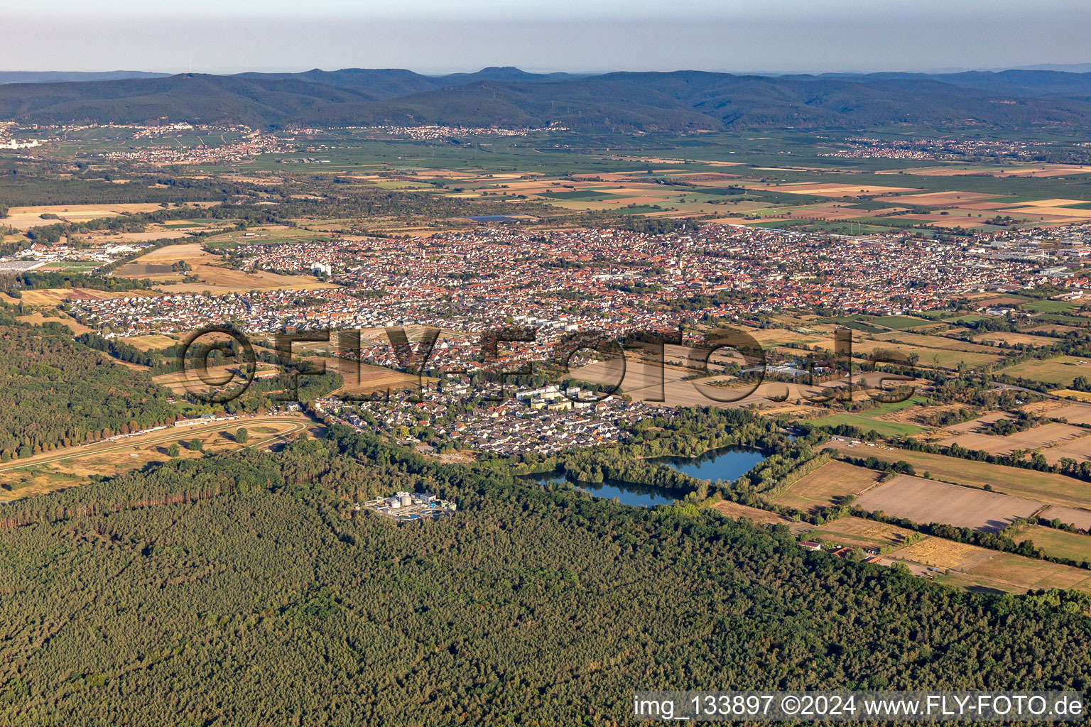 Haßloch dans le département Rhénanie-Palatinat, Allemagne vue d'en haut