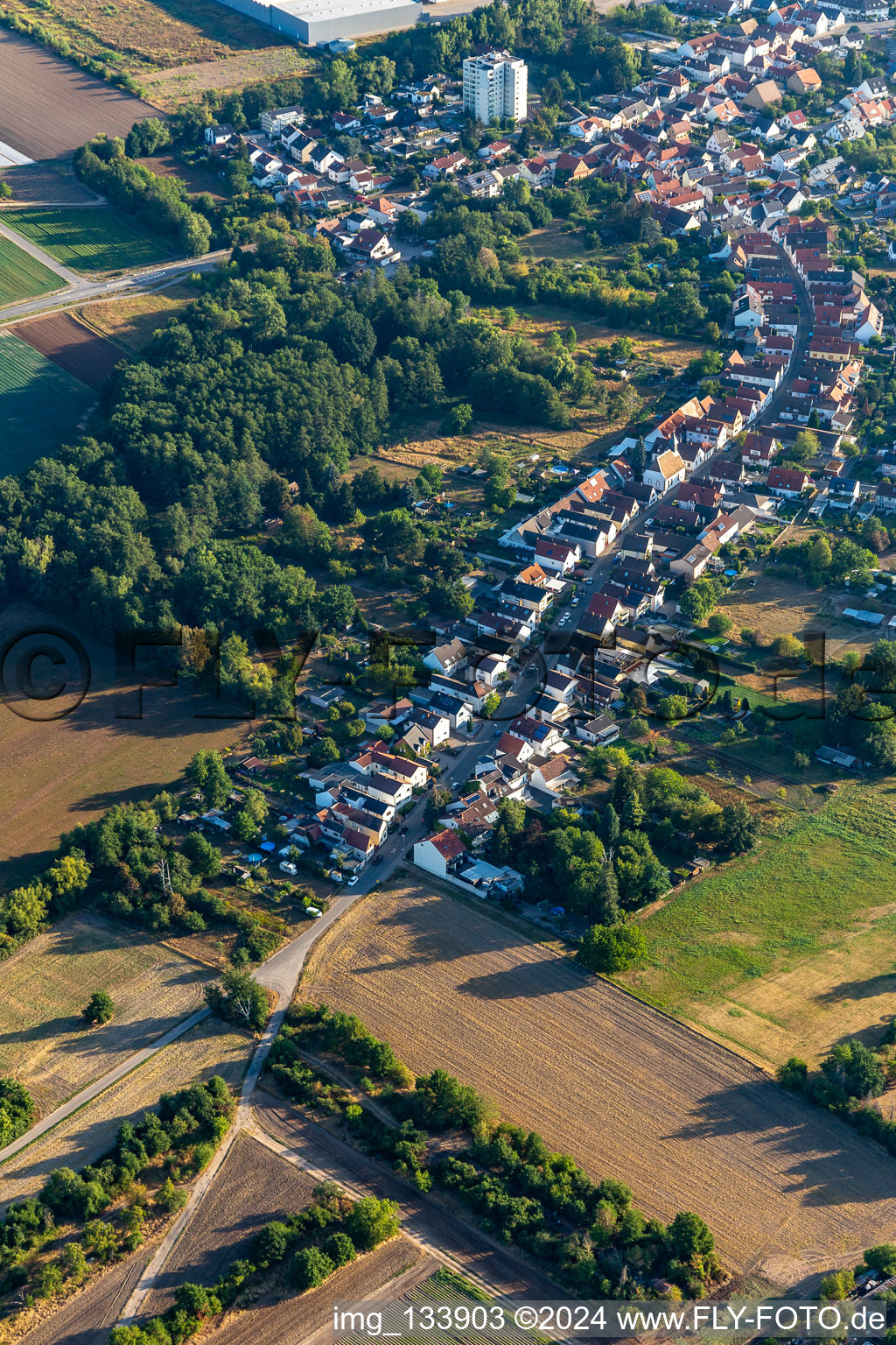 Vue aérienne de Longue allée à Schifferstadt dans le département Rhénanie-Palatinat, Allemagne