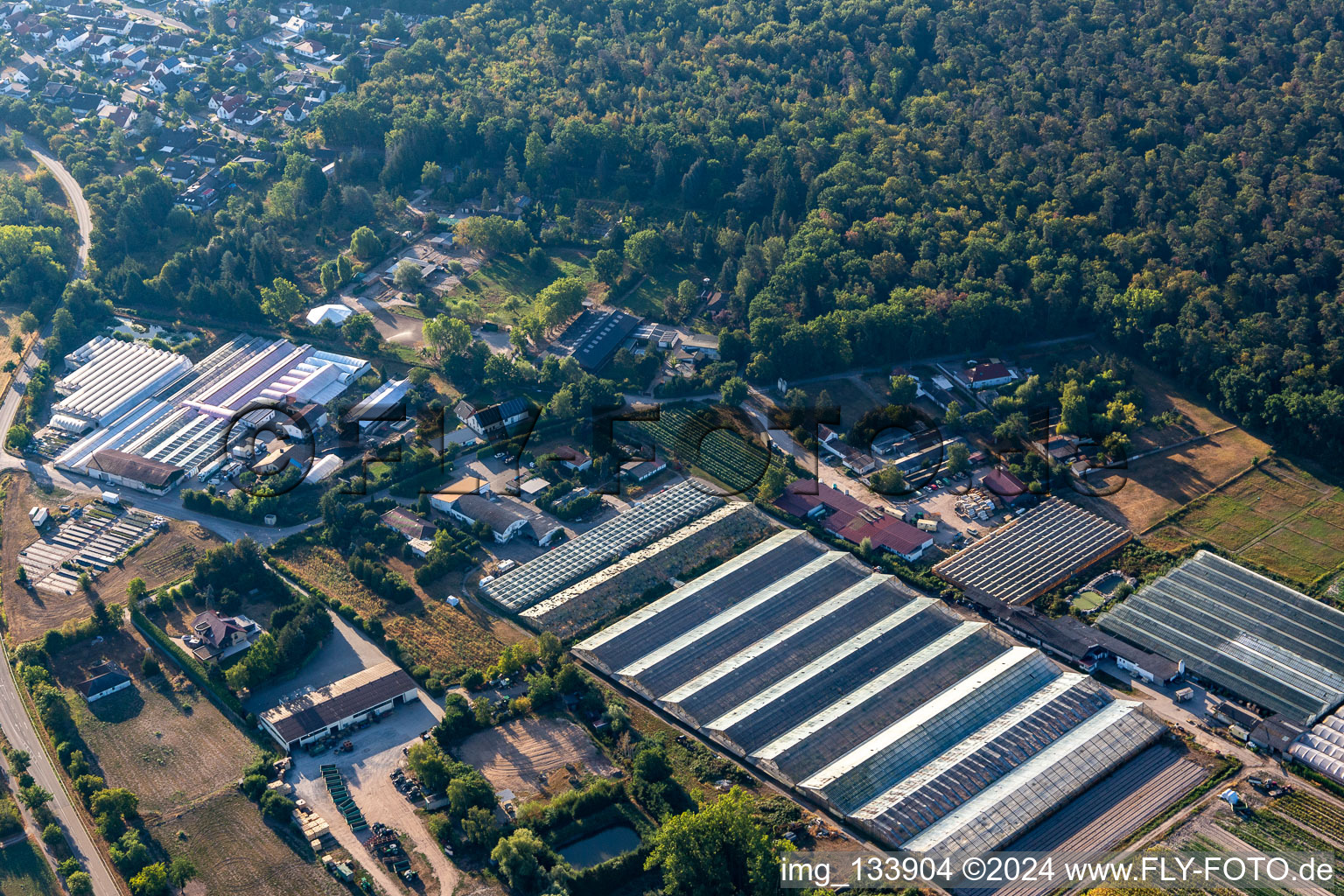 Vue aérienne de Schehlmann pur à Schifferstadt dans le département Rhénanie-Palatinat, Allemagne