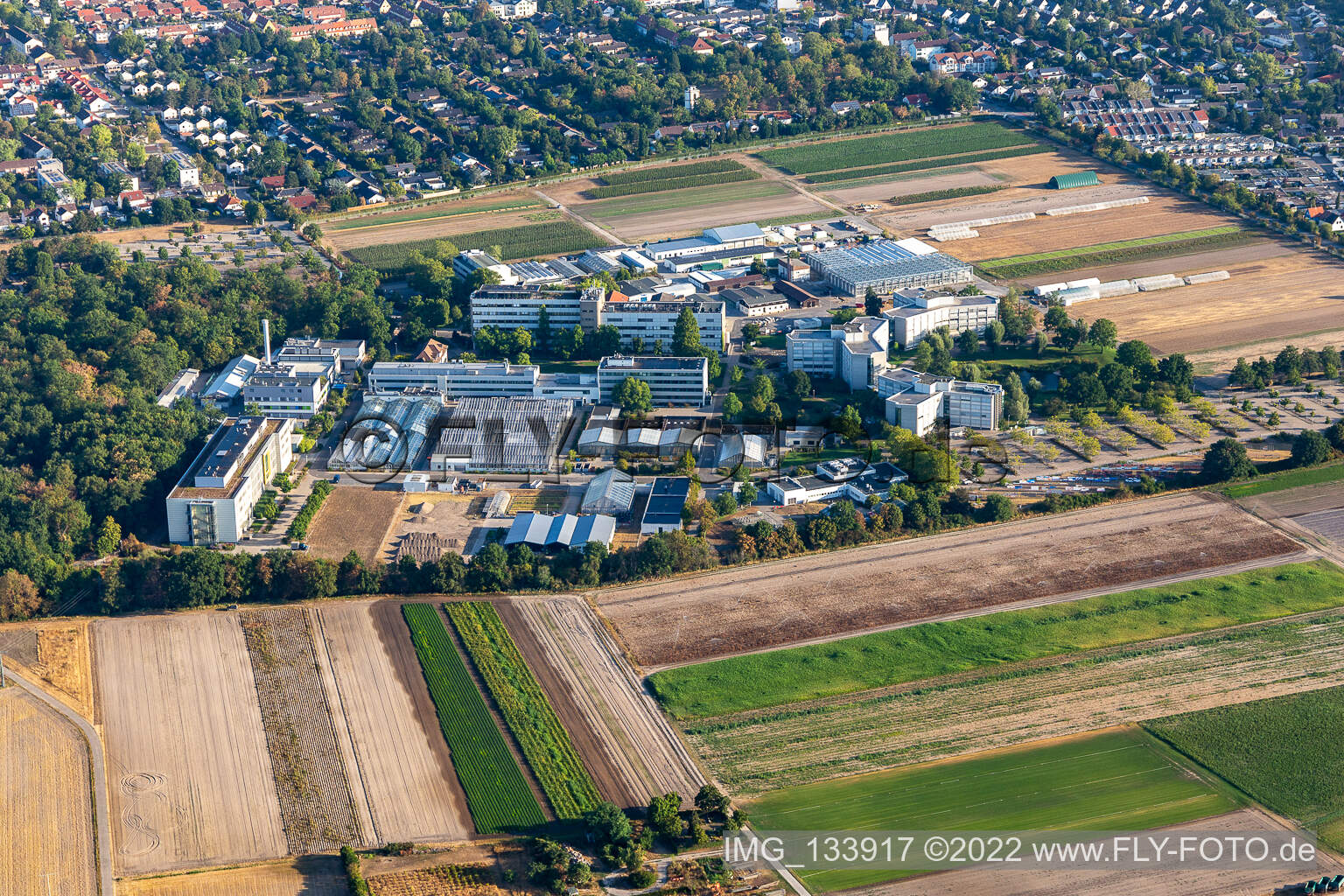 Vue aérienne de Centre agricole BASF à Limburgerhof dans le département Rhénanie-Palatinat, Allemagne