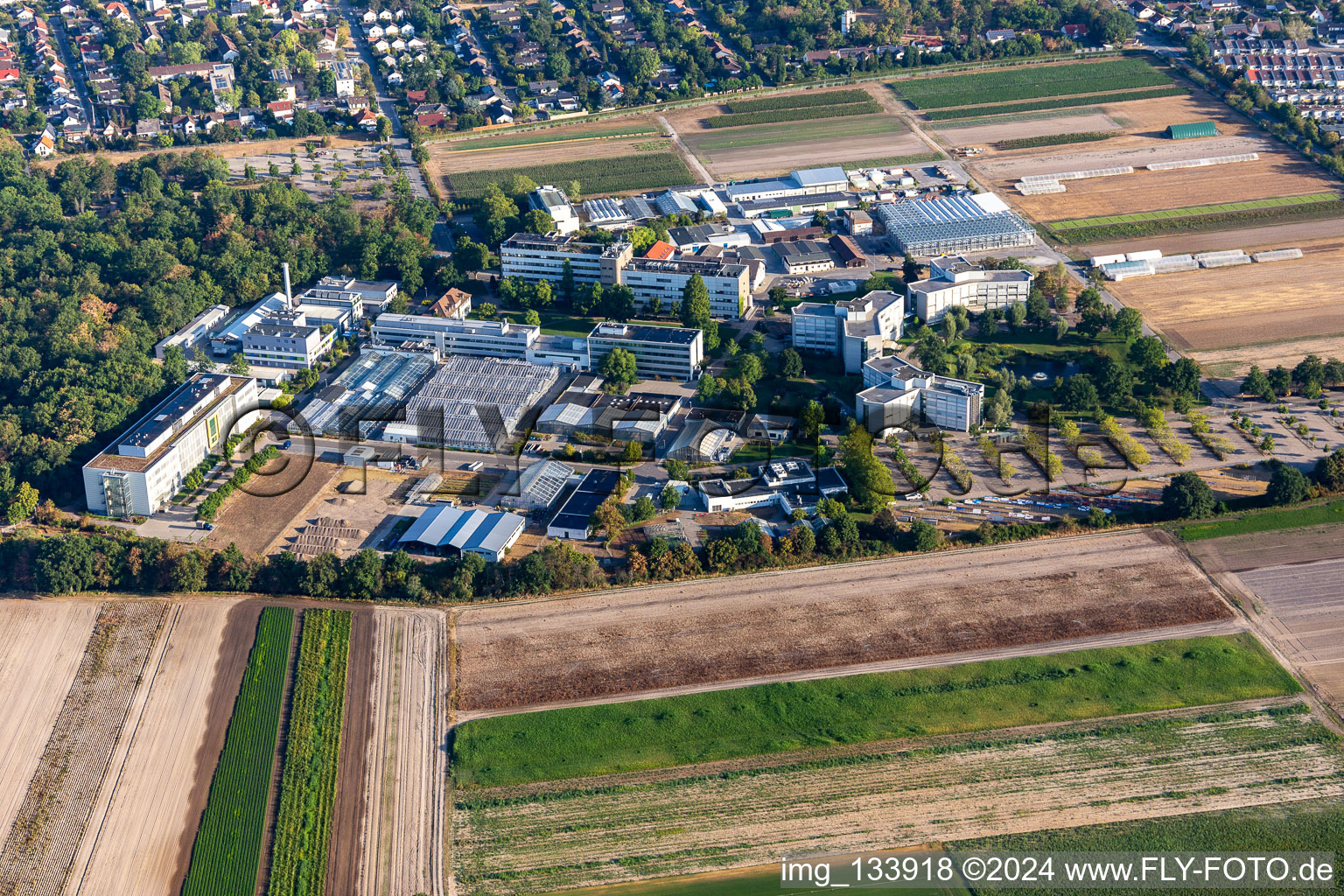 Vue aérienne de Centre agricole BASF à Limburgerhof dans le département Rhénanie-Palatinat, Allemagne