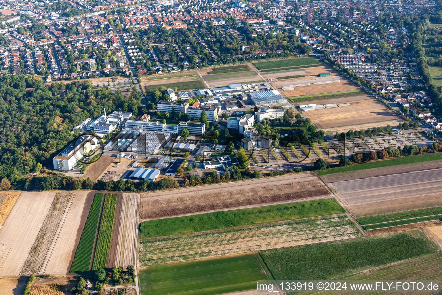 Photographie aérienne de Centre agricole BASF à Limburgerhof dans le département Rhénanie-Palatinat, Allemagne